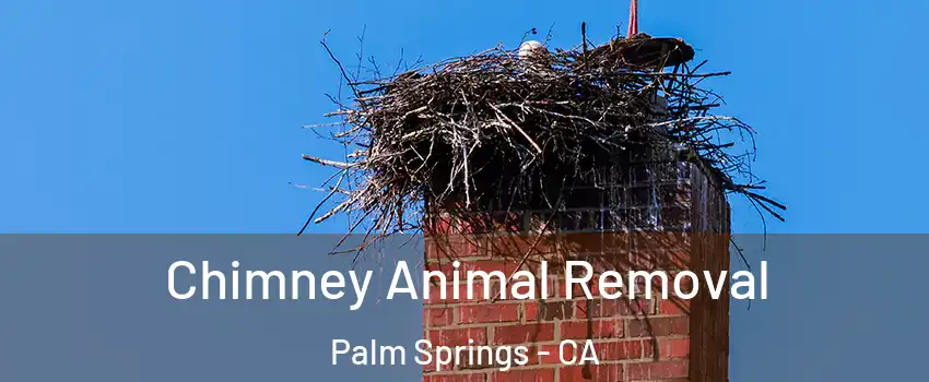 Chimney Animal Removal Palm Springs - CA
