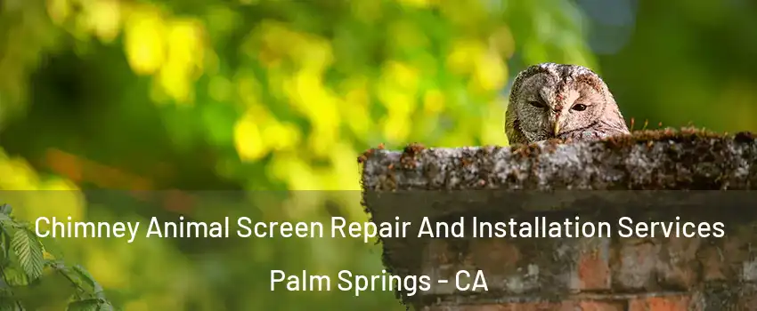  Chimney Animal Screen Repair And Installation Services Palm Springs - CA