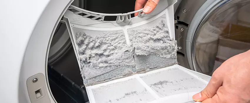 Best Dryer Lint Removal Company in Palm Springs, California