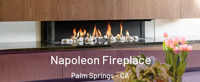  Napoleon Fireplace Palm Springs - CA